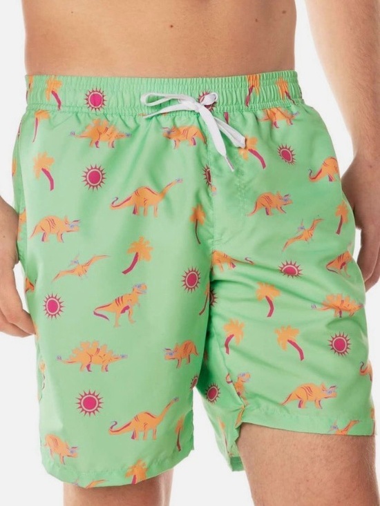 Tipsy Elves Other - Tipsy Elves Dinosaur Desert Swim Trunks | 7" Inseam | Size L | NEW fun print